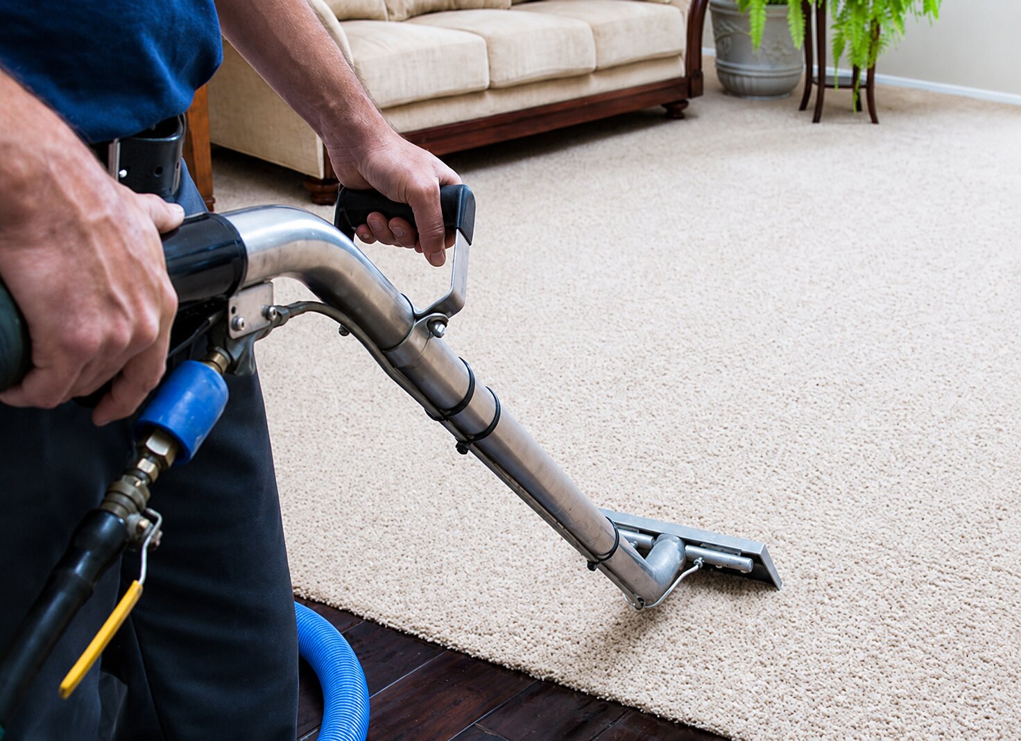 How to Remove Sand from Carpets After a Beach Day 1 Coastal cleaning